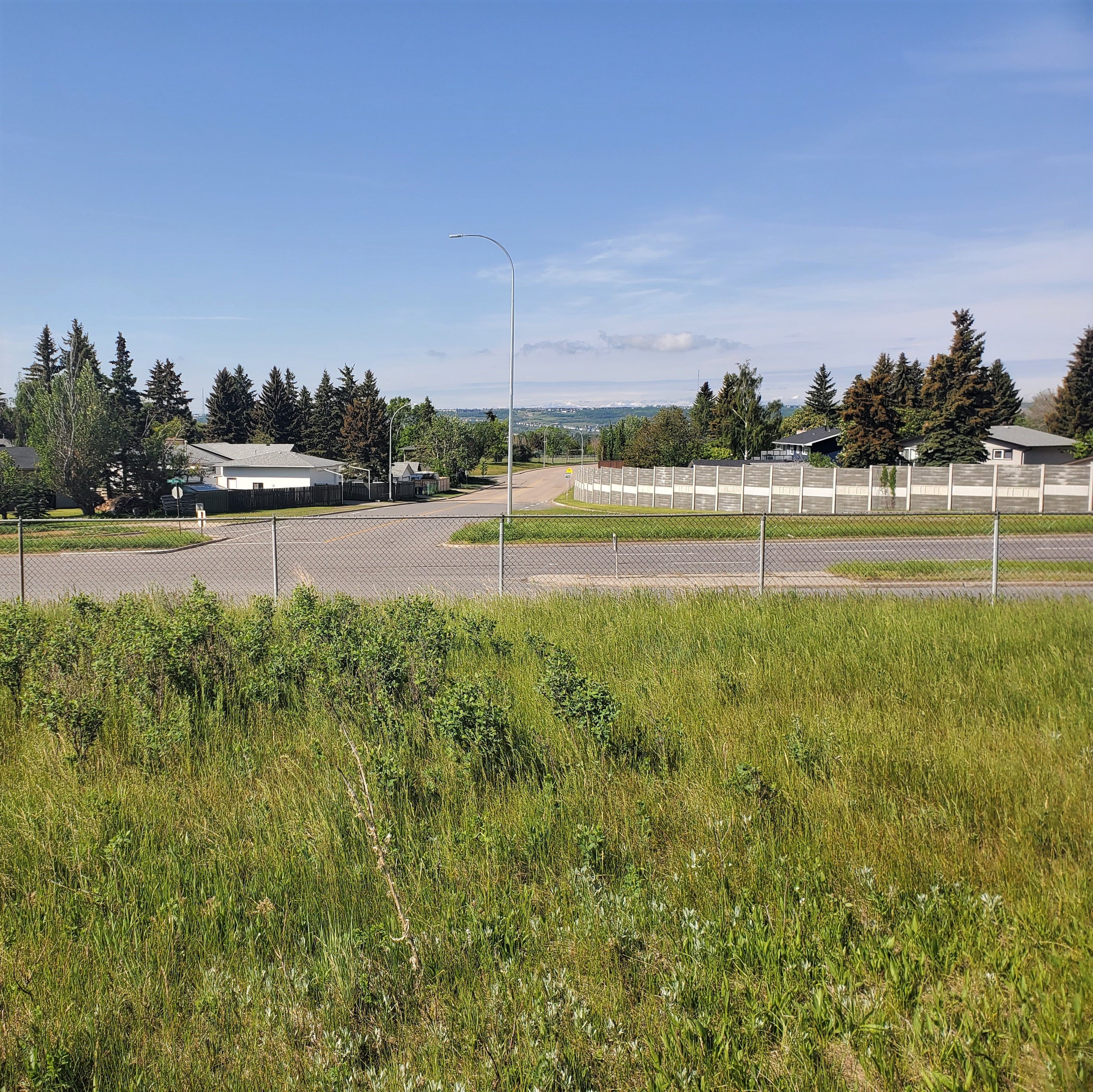 City of Calgary Restoration Mix ALCLA Native Plants Shop